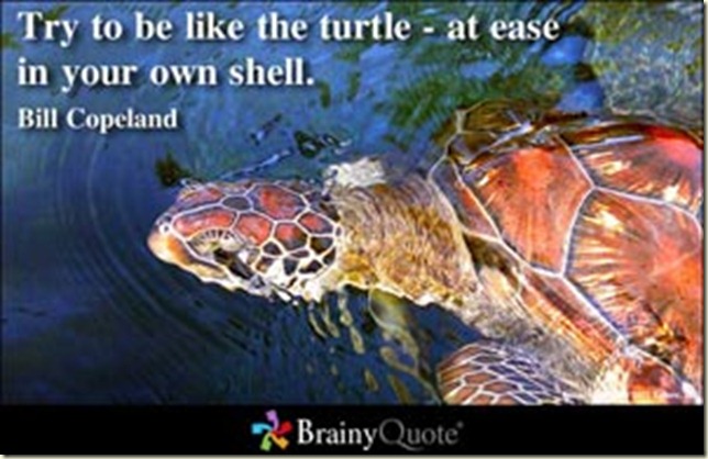 Turtle Quote